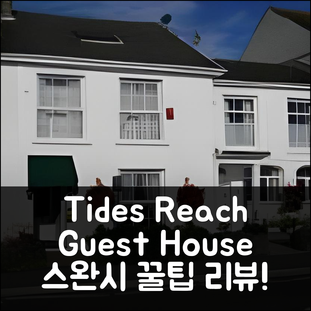 Tides Reach Guest House 스완씨 리뷰 & 꿀팁 총정리!