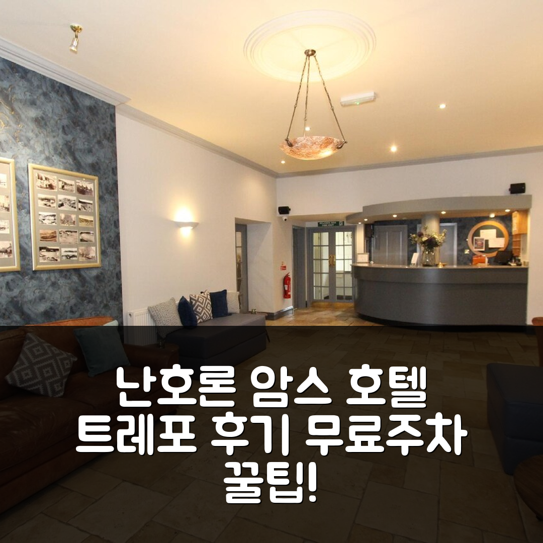 난호론 암스 호텔 트레포 후기 & 무료주차 꿀팁