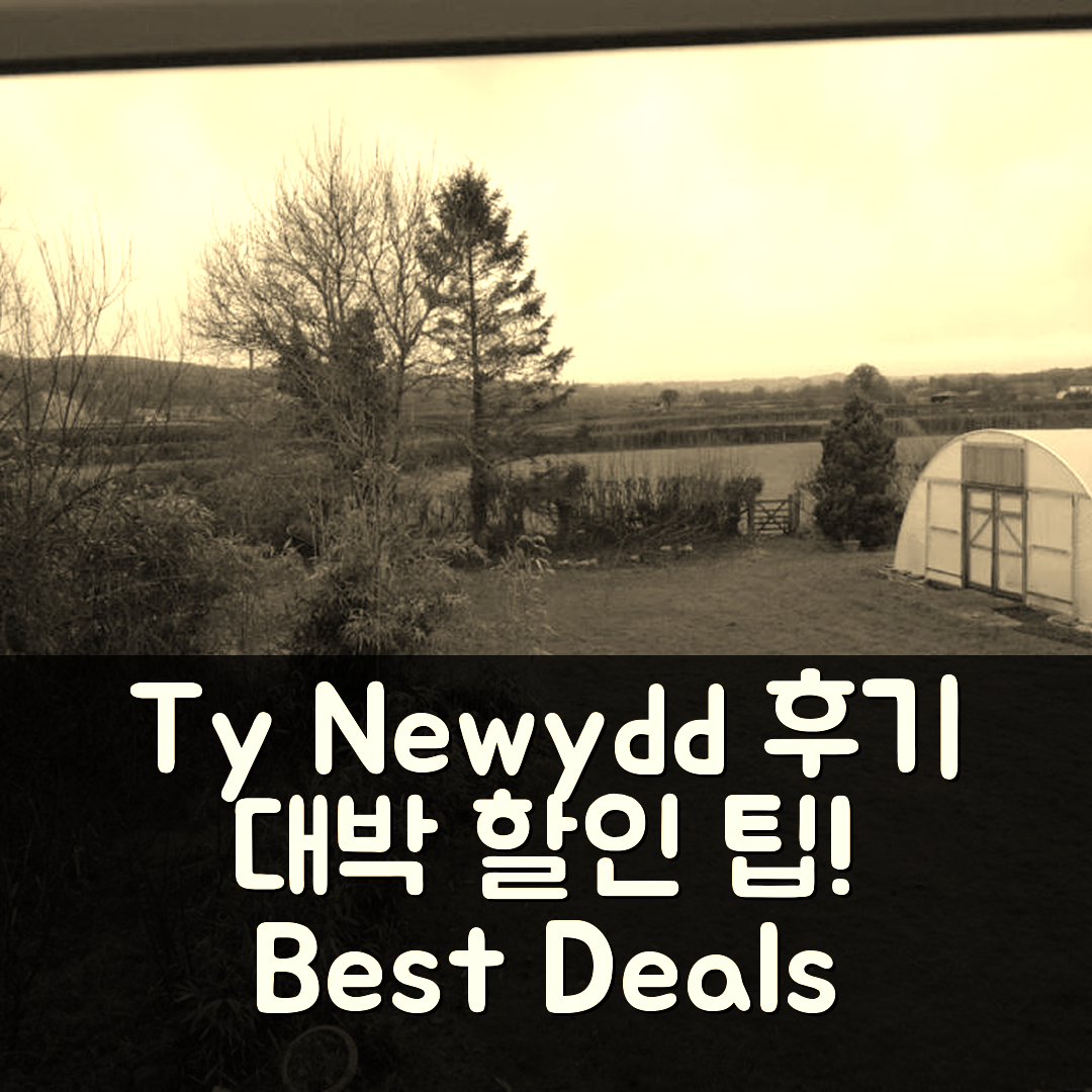 Ty Newydd 란가도그 후기와 대박 할인 팁!