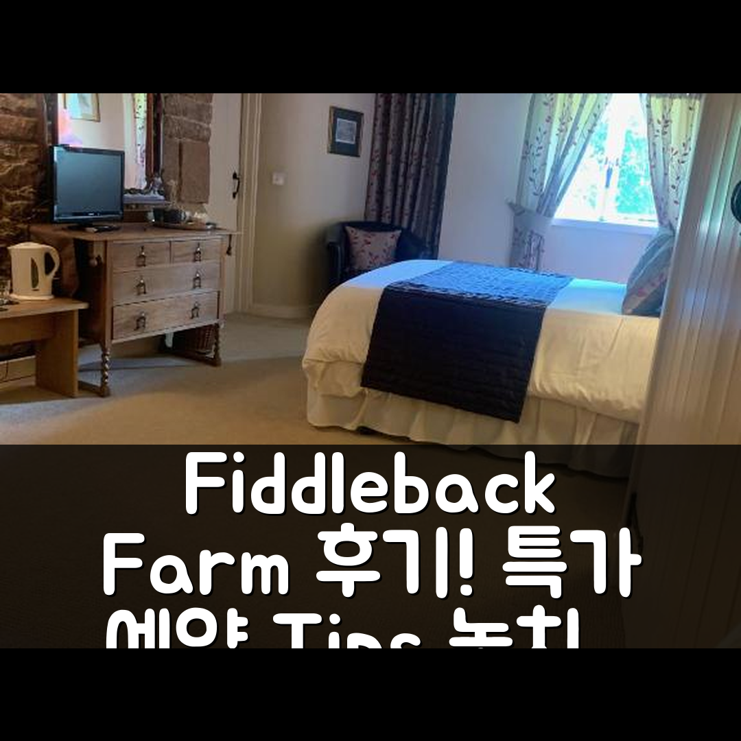 Fiddleback Farm 워넬 후기+특가 예약 꿀팁!
